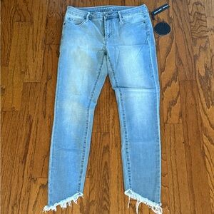 Articles of Society skinny jeans
